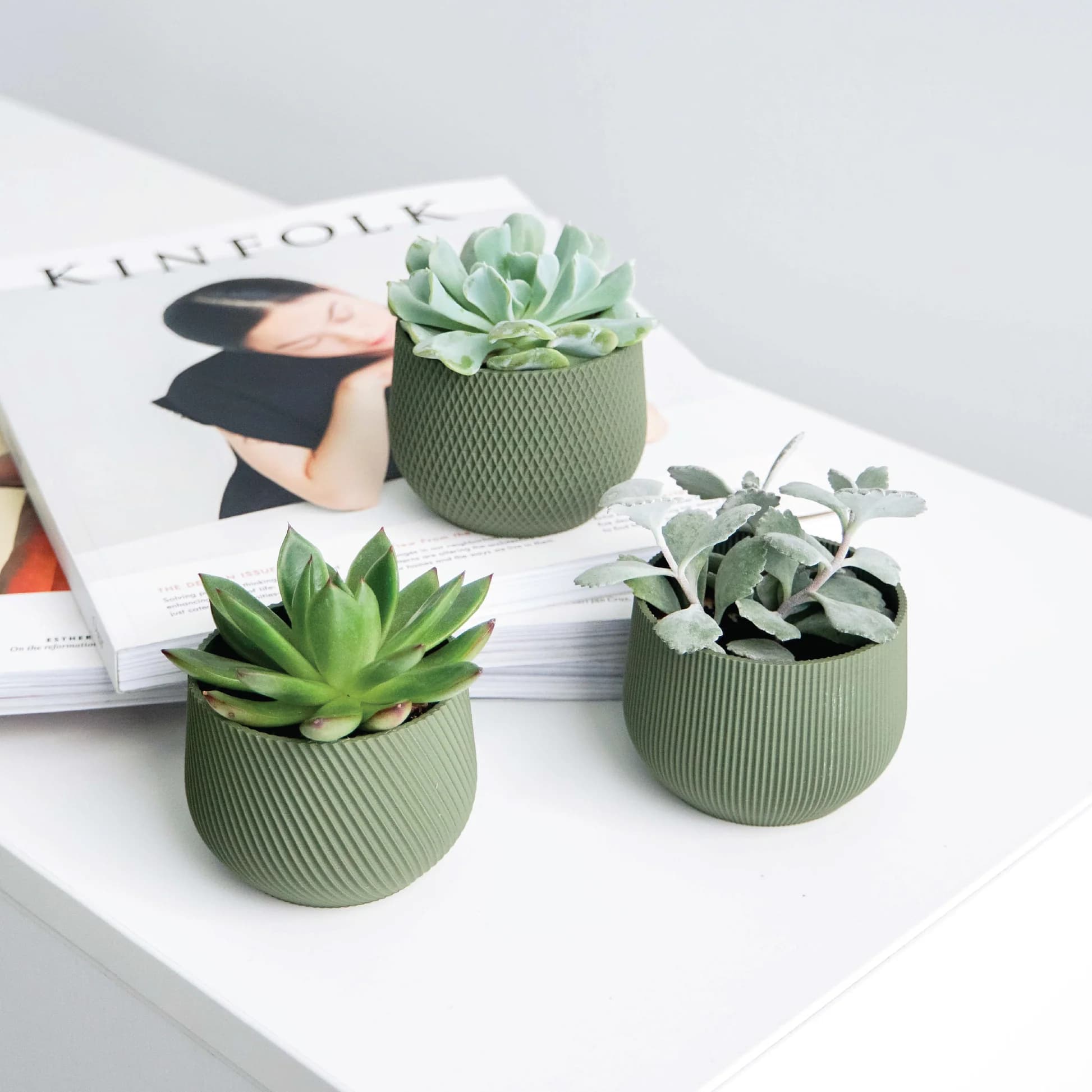 Mini Planter & Succulent Pot